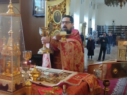 Священномученика Михаила Саратовского